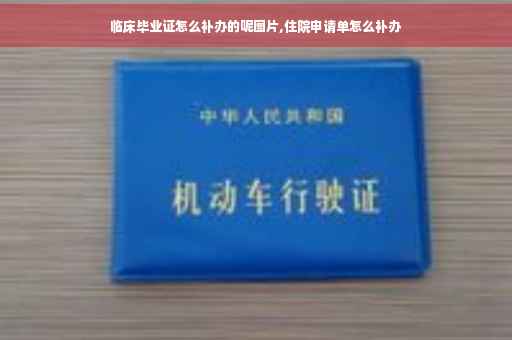 临床毕业证怎么补办的呢图片,住院申请单怎么补办