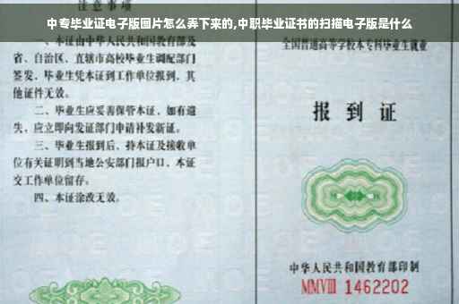 中专毕业证电子版图片怎么弄下来的,中职毕业证书的扫描电子版是什么