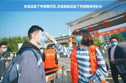 毕业证丢了学信网打印,毕业报到证丢了学信网如何补办