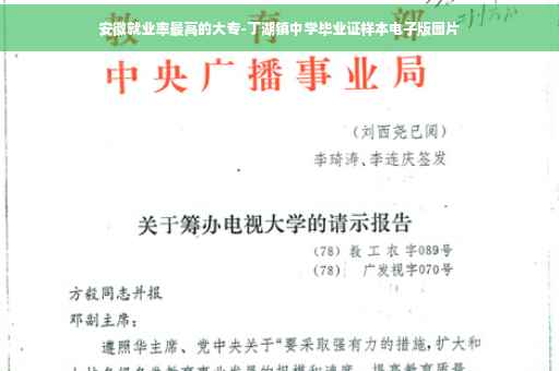 安徽就业率最高的大专-丁湖镇中学毕业证样本电子版图片