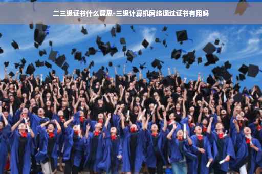 二三级证书什么意思-三级计算机网络通过证书有用吗