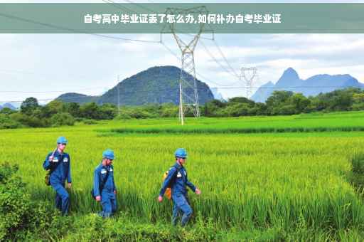 自考高中毕业证丢了怎么办,如何补办自考毕业证