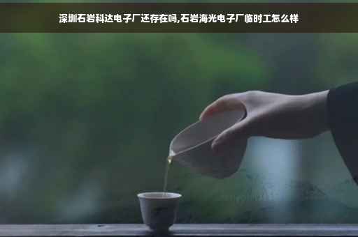 深圳石岩科达电子厂还存在吗,石岩海光电子厂临时工怎么样