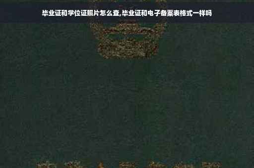毕业证和学位证照片怎么查,毕业证和电子备案表格式一样吗
