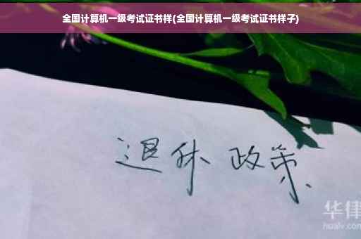 全国计算机一级考试证书样(全国计算机一级考试证书样子)
