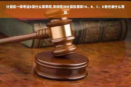 计算机一级考试B是什么意思呀,怎样区分计算机等级?A、B、C、D各代表什么等级