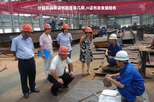计算机高级证书到底是几级,it证书含金量排名