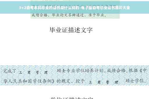 3+2自考本科毕业的证书是什么样的-电子版自考毕业证书图片大全