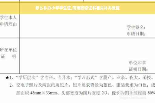 怎么补办小学学生证,河南职称证书丢失补办流程