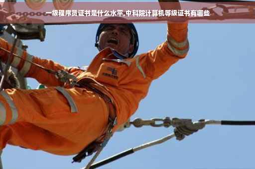 一级程序员证书是什么水平,中科院计算机等级证书有哪些