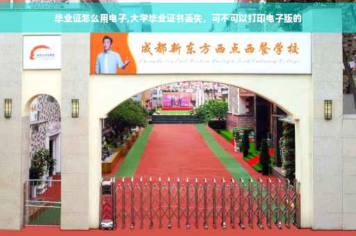 毕业证怎么用电子,大学毕业证书丢失，可不可以打印电子版的