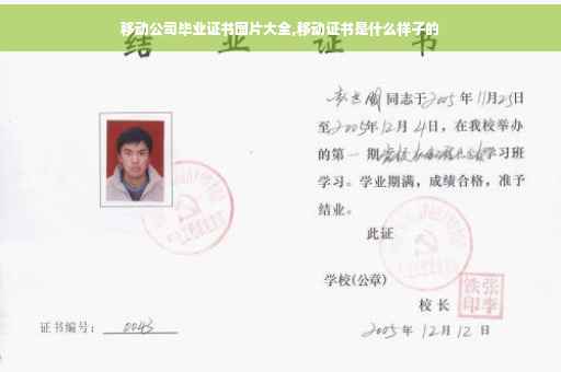 移动公司毕业证书图片大全,移动证书是什么样子的
