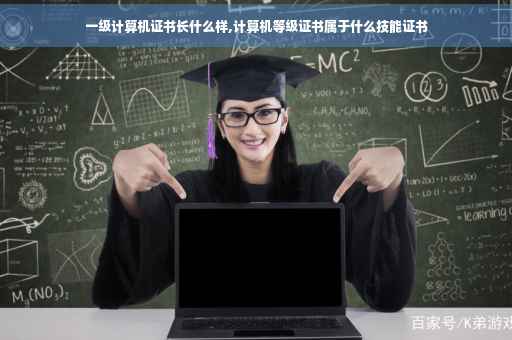 一级计算机证书长什么样,计算机等级证书属于什么技能证书