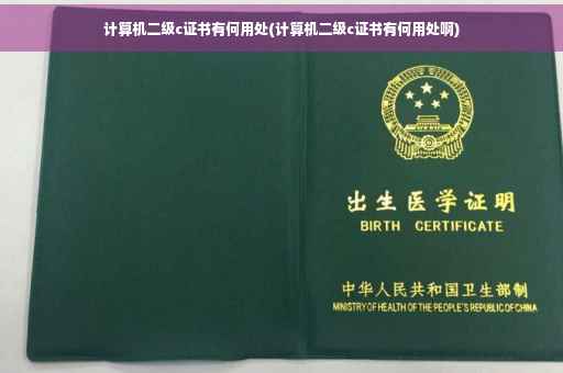 计算机二级c证书有何用处(计算机二级c证书有何用处啊)