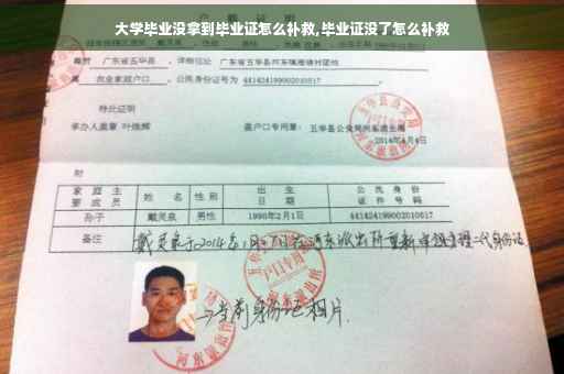 大学毕业没拿到毕业证怎么补救,毕业证没了怎么补救