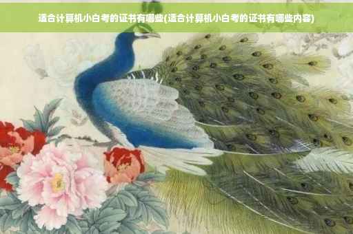适合计算机小白考的证书有哪些(适合计算机小白考的证书有哪些内容)