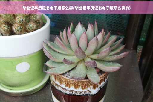 毕业证学历证书电子版怎么弄(毕业证学历证书电子版怎么弄的)