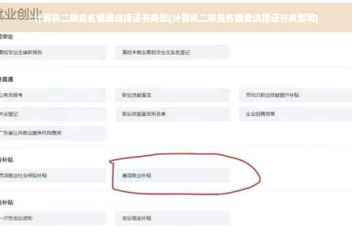 计算机二级报名哪里选择证书类型(计算机二级报名哪里选择证书类型呢)