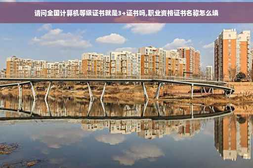 请问全国计算机等级证书就是3+证书吗,职业资格证书名称怎么填