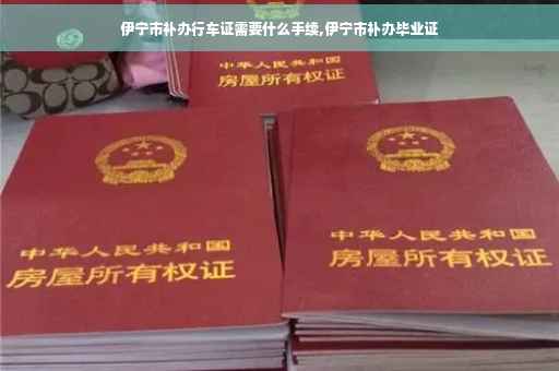 伊宁市补办行车证需要什么手续,伊宁市补办毕业证