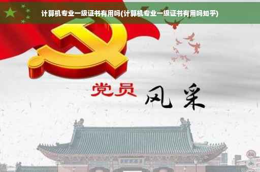 计算机专业一级证书有用吗(计算机专业一级证书有用吗知乎)