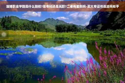淄博职业学院是什么院校?是专科还是高职?二者有差别吗-买大专证书违法吗知乎