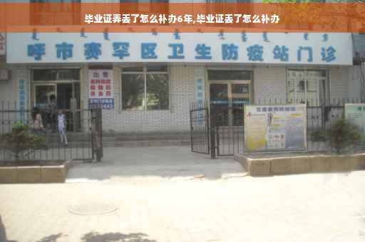 毕业证弄丢了怎么补办6年,毕业证丢了怎么补办