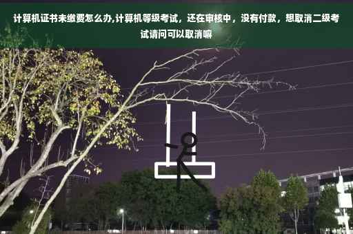 计算机证书未缴费怎么办,计算机等级考试，还在审核中，没有付款，想取消二级考试请问可以取消嘛