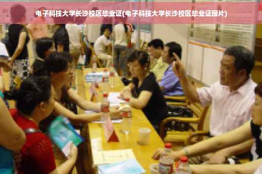 电子科技大学长沙校区毕业证(电子科技大学长沙校区毕业证图片)