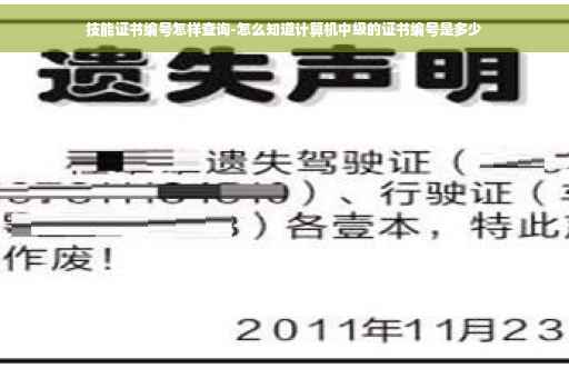技能证书编号怎样查询-怎么知道计算机中级的证书编号是多少