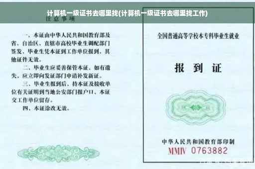 计算机一级证书去哪里找(计算机一级证书去哪里找工作)