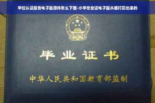 学位认证报告电子版原件怎么下载-小学毕业证电子版从哪打印出来的