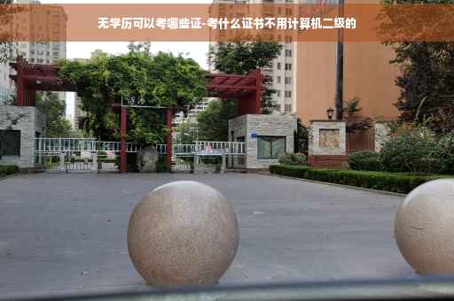 无学历可以考哪些证-考什么证书不用计算机二级的