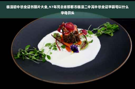 临漳初中毕业证书图片大全,97年河北省邯郸市临漳二中高中毕业证学籍号以什么字母开头