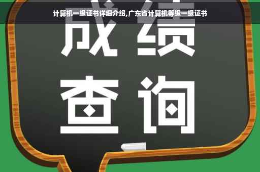 计算机一级证书详细介绍,广东省计算机等级一级证书