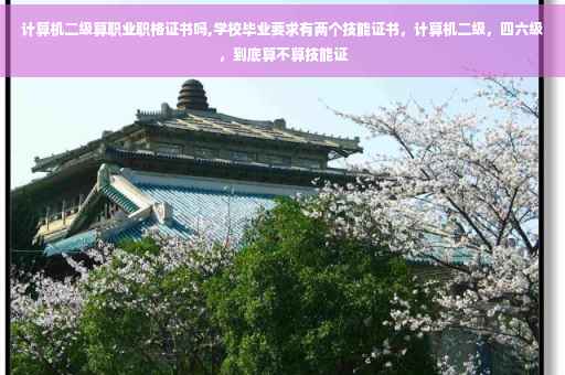 计算机二级算职业职格证书吗,学校毕业要求有两个技能证书，计算机二级，四六级，到底算不算技能证