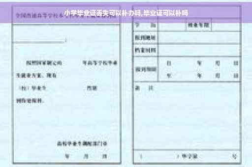 小学毕业证丢失可以补办吗,毕业证可以补吗