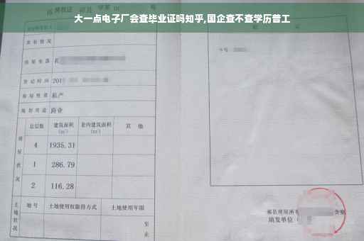 大一点电子厂会查毕业证吗知乎,国企查不查学历普工