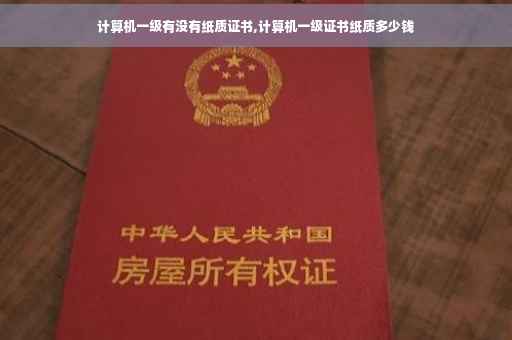 计算机一级有没有纸质证书,计算机一级证书纸质多少钱