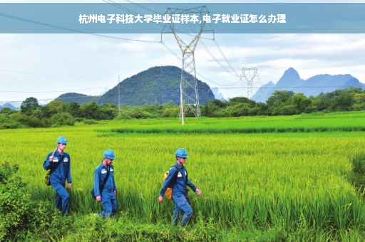 杭州电子科技大学毕业证样本,电子就业证怎么办理