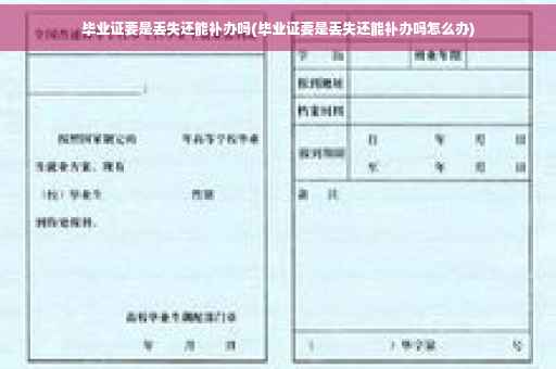 毕业证要是丢失还能补办吗(毕业证要是丢失还能补办吗怎么办)