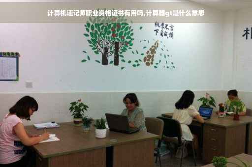 计算机速记师职业资格证书有用吗,计算器gt是什么意思