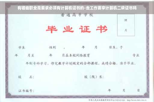 有哪些职业是要求必须有计算机证书的-去工作要拿计算机二级证书吗