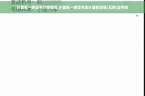 计算机一级证书分等级吗,计算机一级证书是计算机初级(五级)证书吗