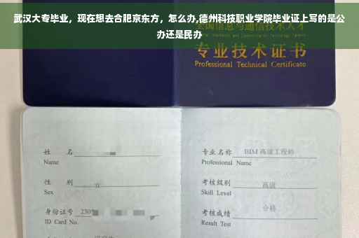 武汉大专毕业，现在想去合肥京东方，怎么办,德州科技职业学院毕业证上写的是公办还是民办