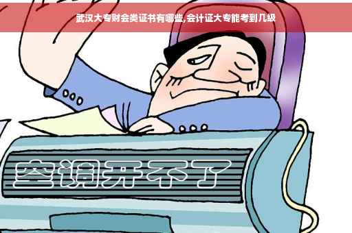 武汉大专财会类证书有哪些,会计证大专能考到几级 武汉大专财会类证书有哪些,会计证大专能考到几级