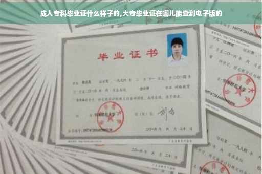 成人专科毕业证什么样子的,大专毕业证在哪儿能查到电子版的