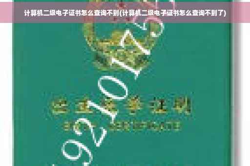 计算机二级电子证书怎么查询不到(计算机二级电子证书怎么查询不到了)