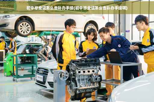 初中毕业证怎么去补办手续(初中毕业证怎么去补办手续呢)