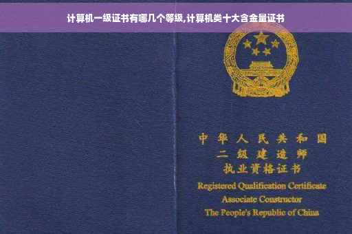 计算机一级证书有哪几个等级,计算机类十大含金量证书